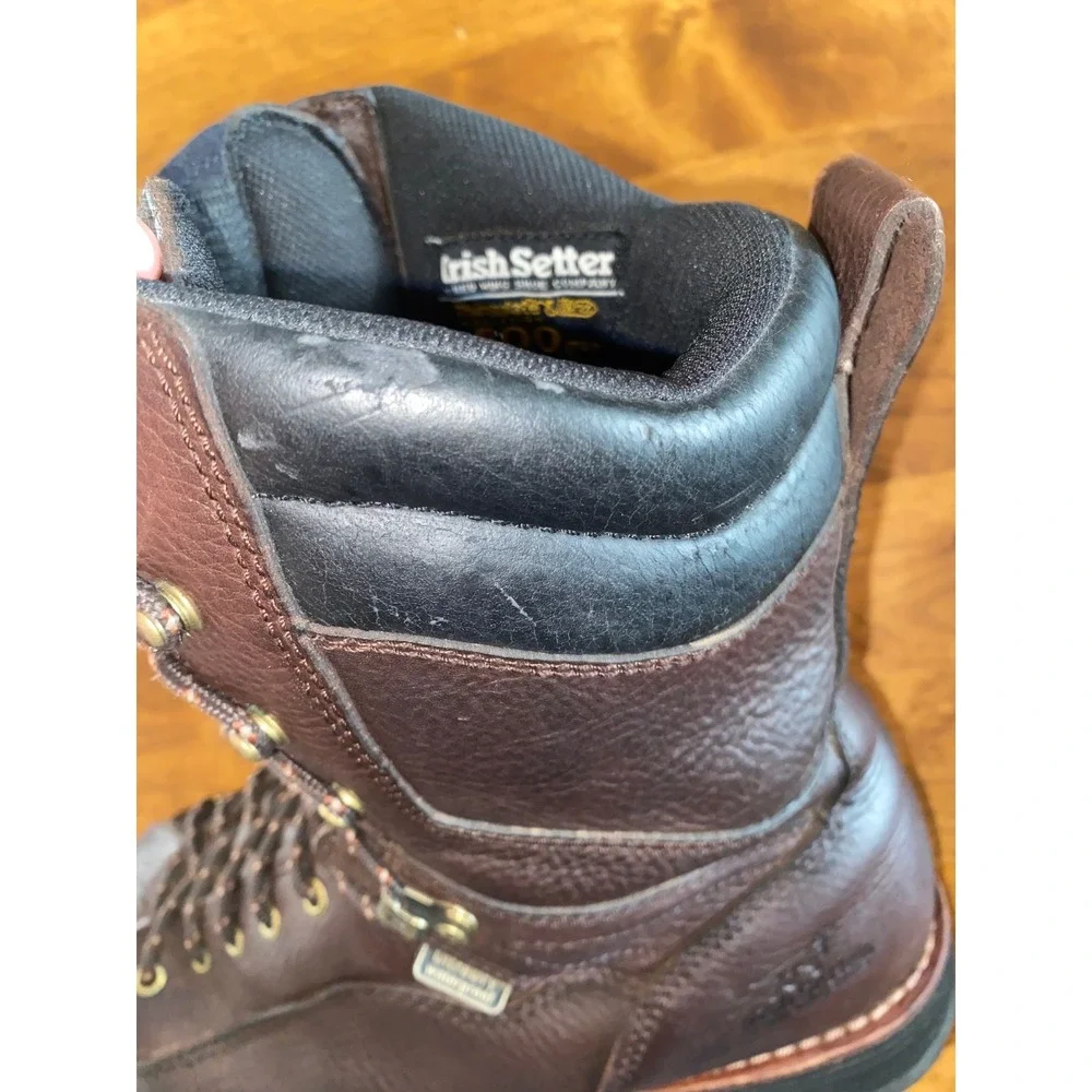 Irish Setter good pre